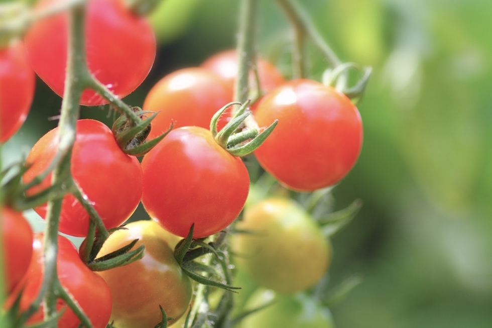 強力で安全な消臭スプレー/動画のSEO・インターネットコンサルティング/インターネットコンサルタントREAP・動画のSEO