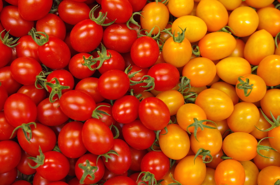 海老名のイタリアン/動画のSEO・インターネットコンサルティング/インターネットコンサルタントREAP・動画のSEO