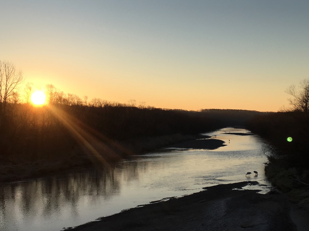 鶴居村/動画のSEO・インターネットコンサルティング/インターネットコンサルタントREAP・動画のSEO